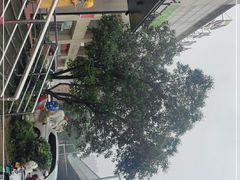 -禾珍珠家常小馆(河南博物院店)