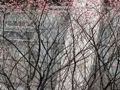 -上海市第十人民医院(总院)