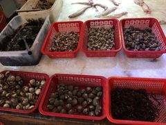 -鹰龙海畔度假酒店(咸祥店)
