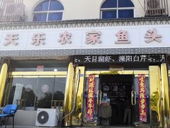 -天乐农家鱼头王(天目湖店)