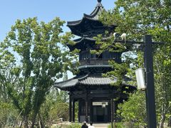 -溱湖八鲜菜馆