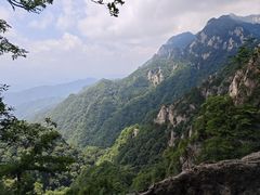 -王顺山国家森林公园