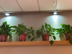 -阿源鱼捞斑鱼火锅·海鲜粥(山景尚宅店)