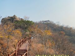 -大岭沟猕猴桃谷风景区