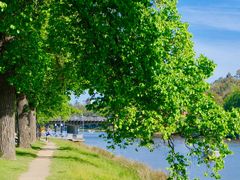 -墨尔本皇家植物园