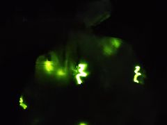 -火炉山森林公园