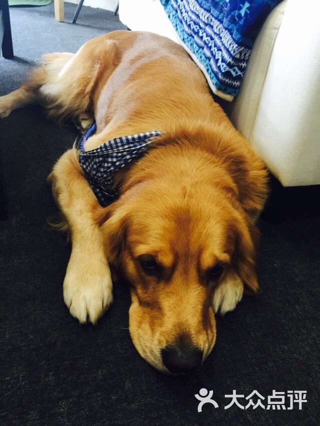 queen wait diy创意体验馆(徐家汇店)图片 - 第20张