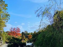 -上海吴淞炮台湾国家湿地公园