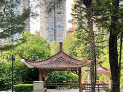 -晓港公园