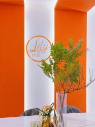 -Lily纤美·科技减脂中心