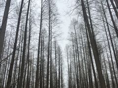 -上海怡沁园度假酒店