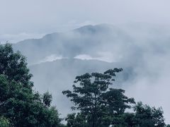 -海南霸王岭国家森林公园