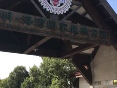 -上海海湾国家森林公园