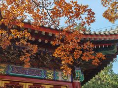 -香山公园