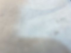 -探唐烧烤(棠东店)