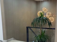 -牙博士口腔品牌连锁(昆山城区店)