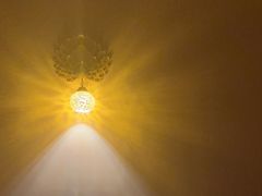 -金色莲花泰式按摩SPA(石牌店)