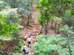 -火炉山森林公园