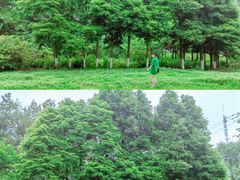 -桤木河湿地公园