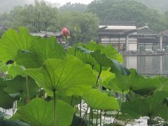 -蔴将·川菜(黄龙万科店)