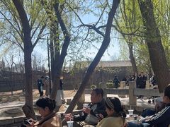 -春风习习