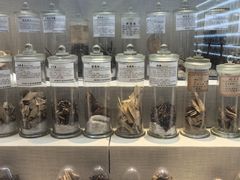 -广东中医药博物馆