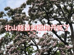 -北山街历史文化街区