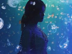 -福州罗源湾海洋世界旅游区