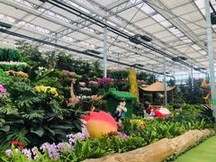 -兰陵国家农业公园