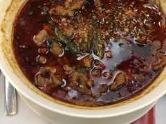 -眉州东坡(博雅店)