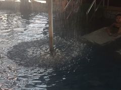 -南宫温泉水世界