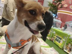 -丽达购物中心(崂山店)
