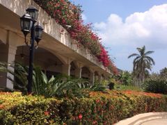 iphone_upload_pic-三亚亚龙湾金棕榈度假酒店