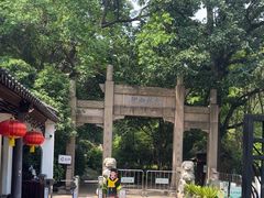 -镇江市南山风景名胜区竹林景区