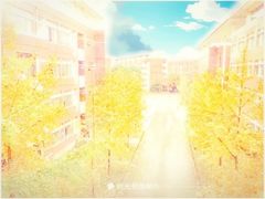 -南京外国语学校(仙林分校西区)