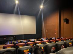 -上海金逸影城(静安大悦城店（原新恒星影城）)
