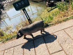 -长兴太湖图影湿地文化园