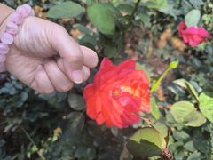 -人民公园(罗湖区)