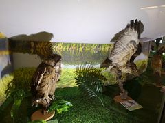 -下渚湖国家湿地公园科普馆