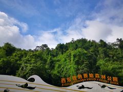 -西双版纳原始森林公园