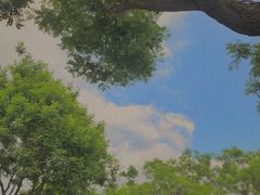-灞河西岸滨河公园