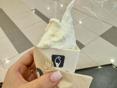 -野人先生Gelato(上海长宁龙之梦店)