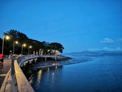 -深圳湾公园(南山区)