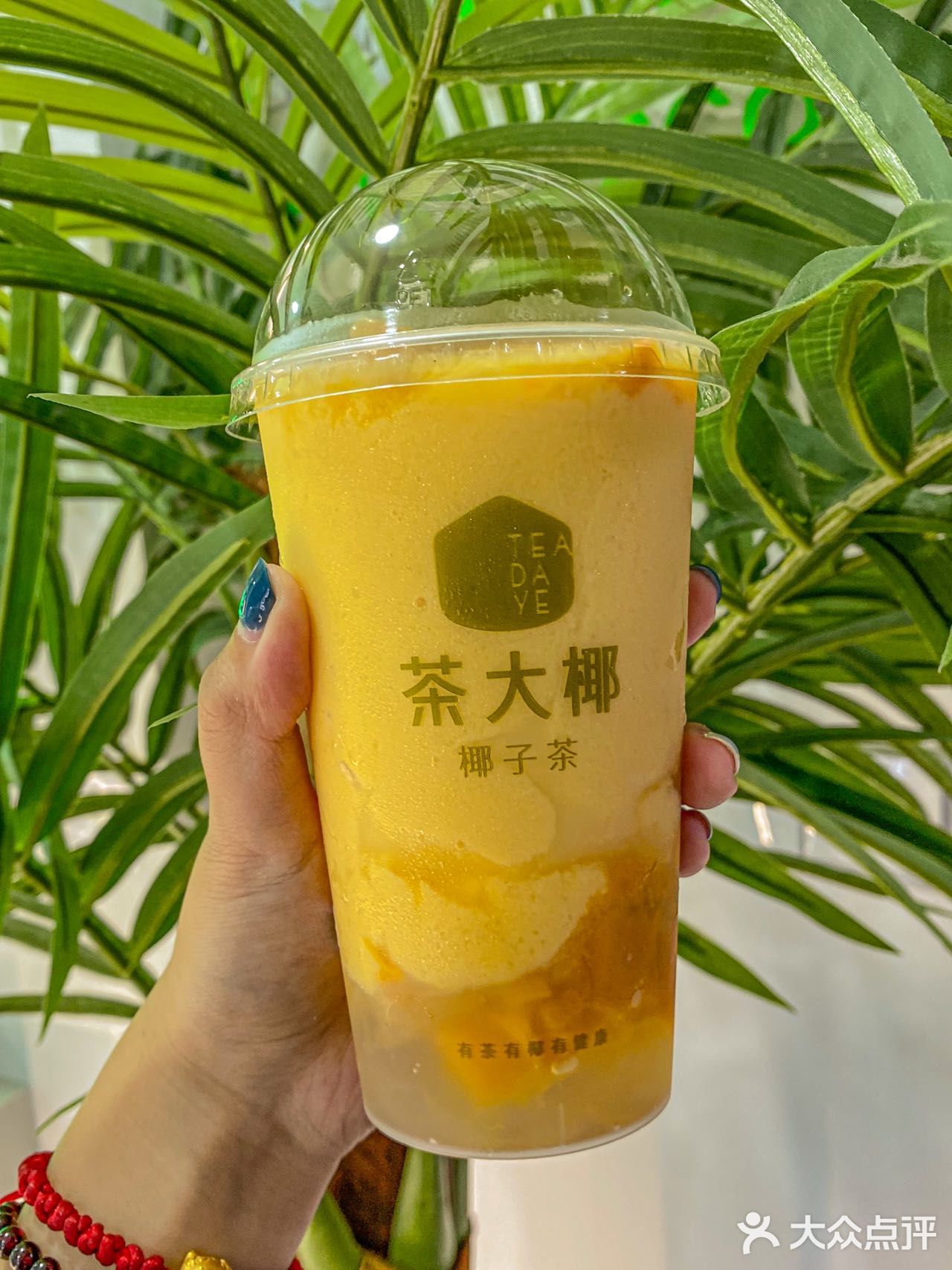 后悔没有早点喝到南京这家椰子茶🥥呜呜！