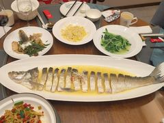-鲁宴·鲁煨黄河生态大鲤鱼(月坛店)