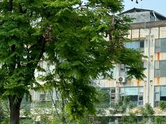 -沙河三洞古桥公园