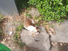 -人民公园-相亲角