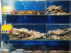 -蚝专家(北滘店)