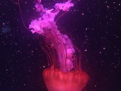 -南京金牛湖风景区