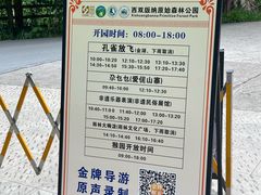 -西双版纳原始森林公园